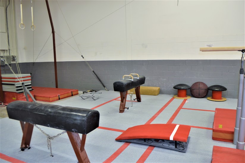 Pommel horse, spring board and Beams